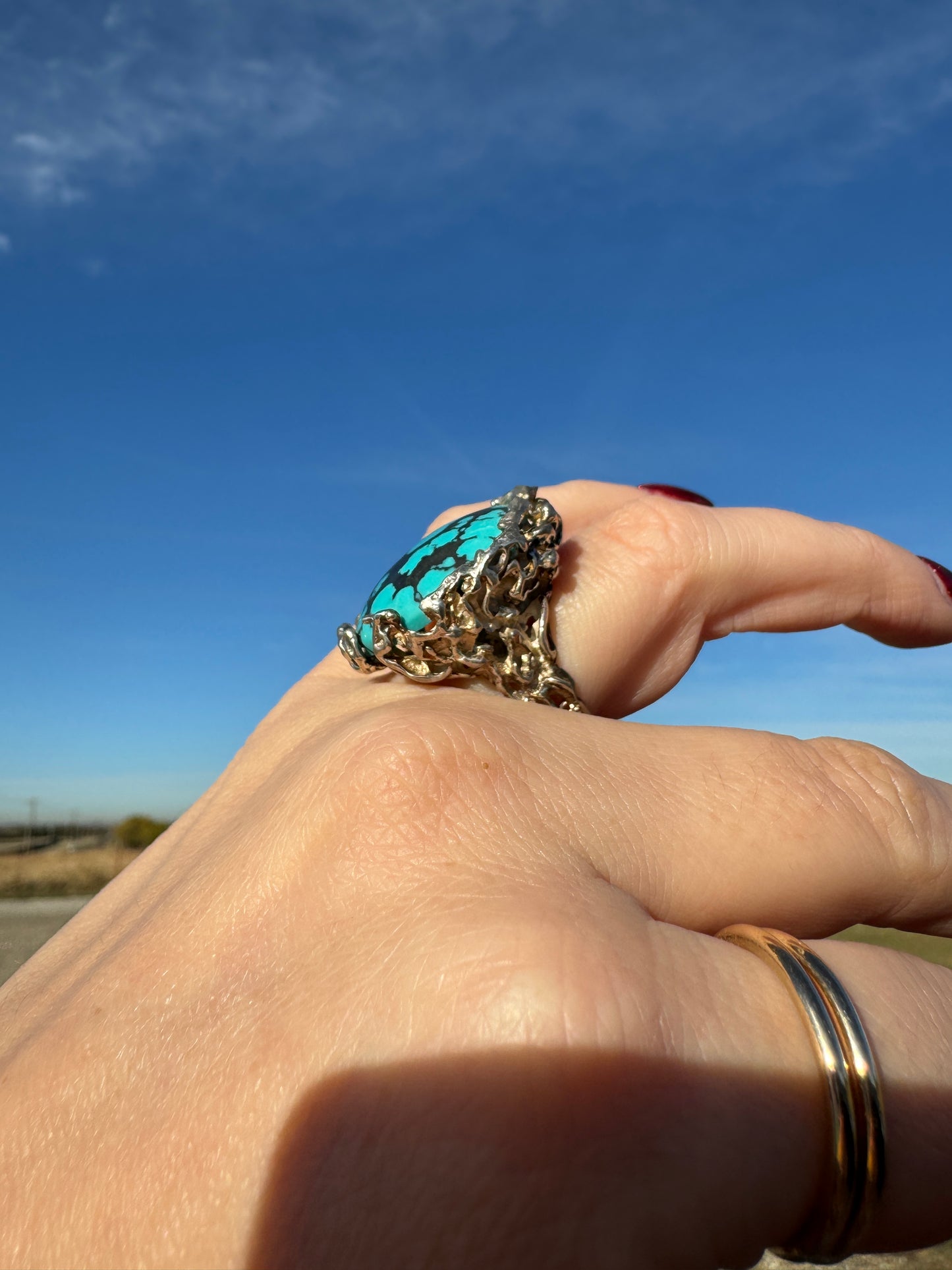 Sterling Silver Turquoise Bird Nest Ring