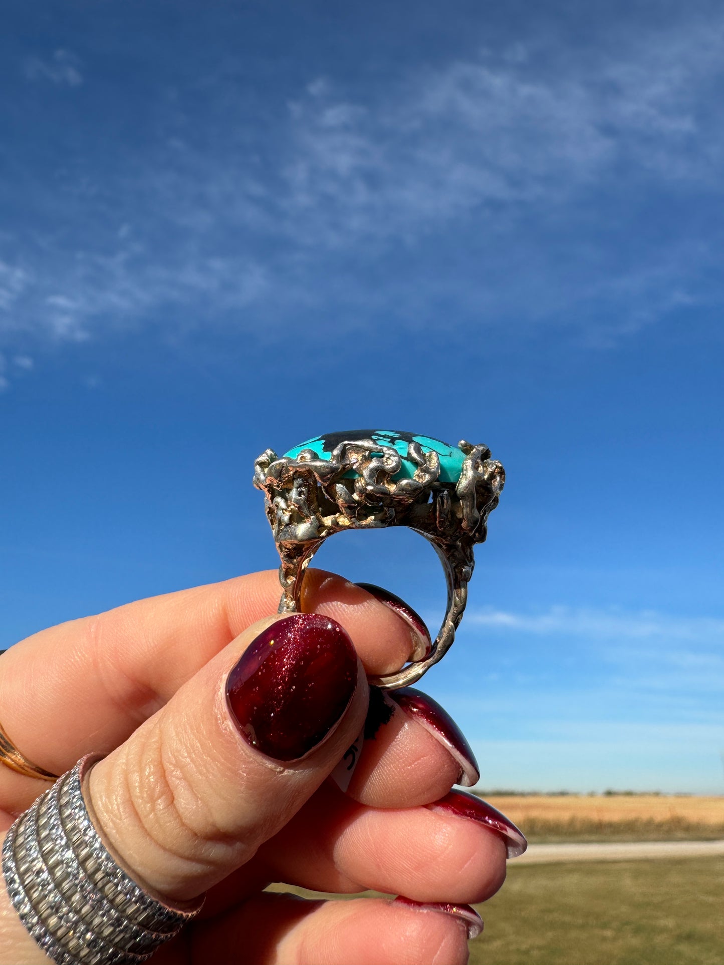 Sterling Silver Turquoise Bird Nest Ring