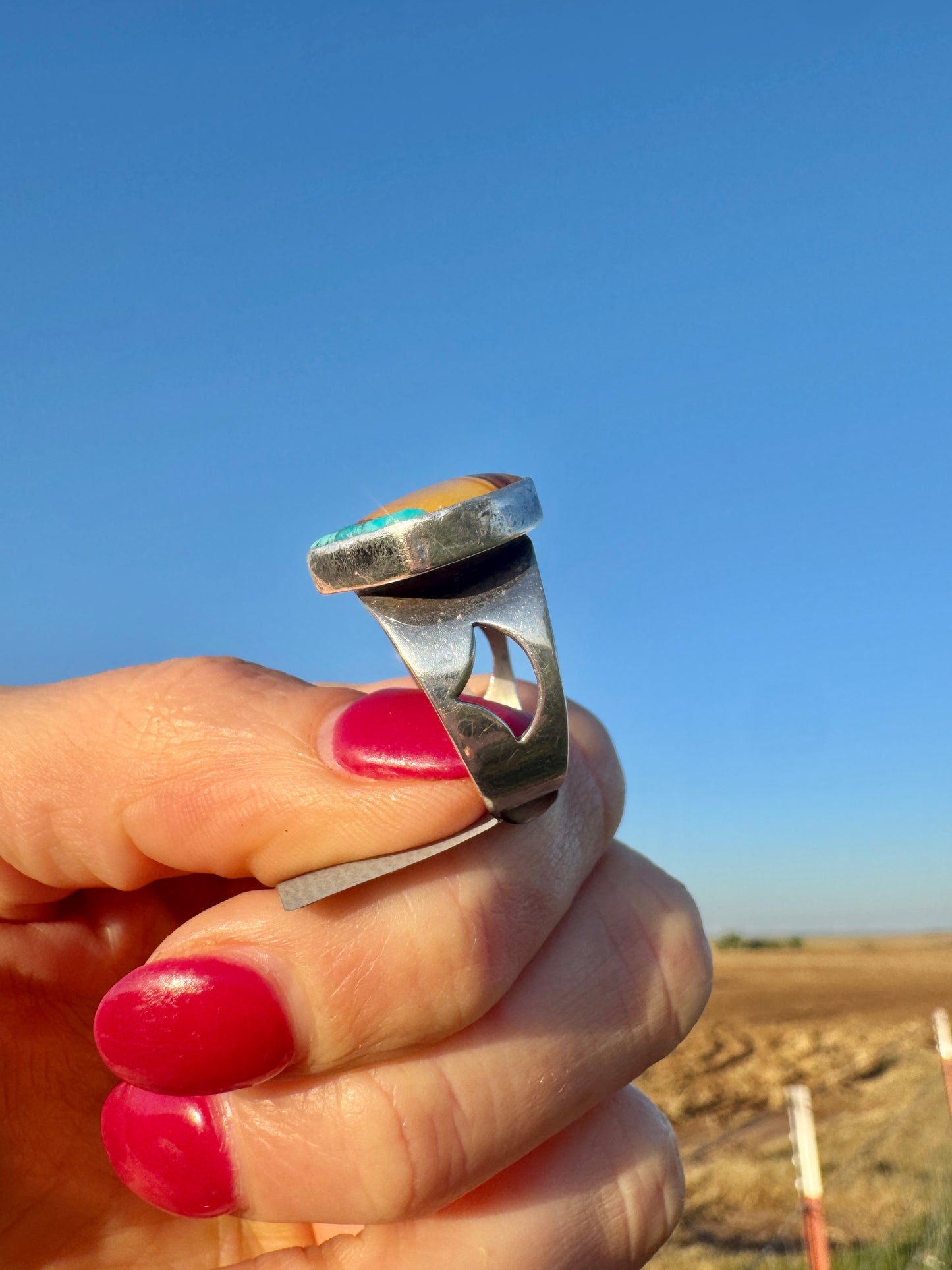 Sterling Silver Mountain Agate and Turquoise Ring